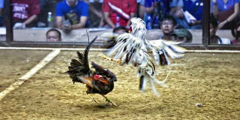 f8bet ﻿đăng nhập lô đề uy tín