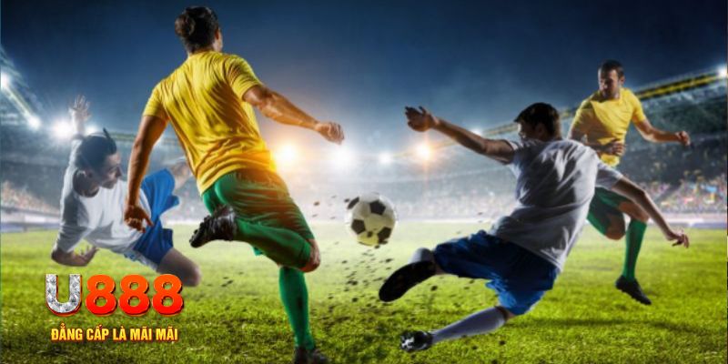 f8bet trực tiếp đá gà c1 hôm nay