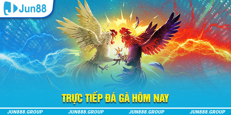 f8bet trực tiếp đá gà thomo