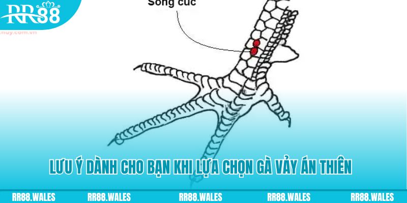 f8bet xổ số khánh hòa