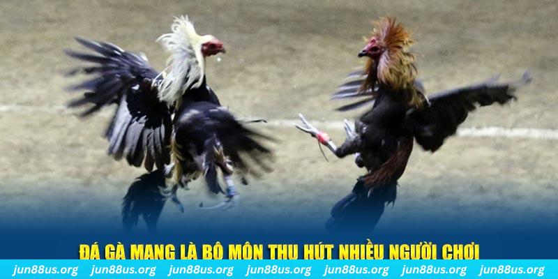 f8bet xổ số long an