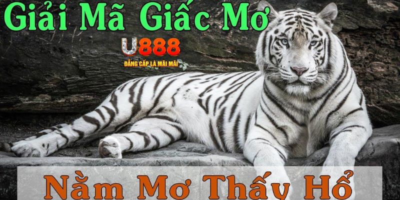 f8bet Bài Poker Joker