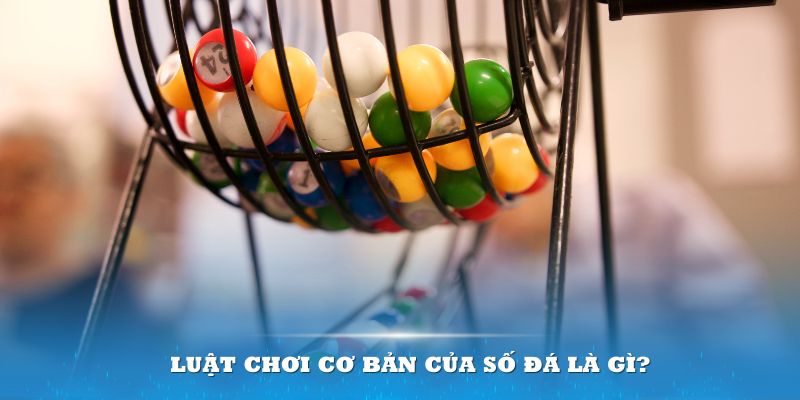f8bet Đĩa màu ace