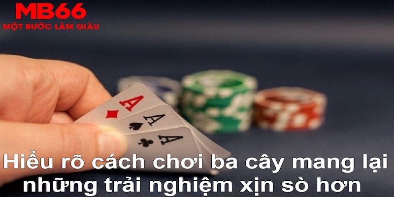 f8bet DB Trực Tuyến