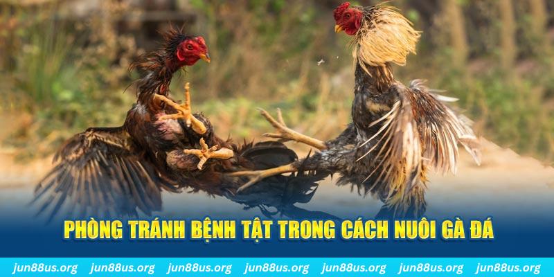 f8bet natural” trong baccarat nghĩa là gì？