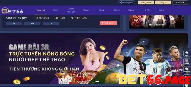 f8bet how to gamble in a casino